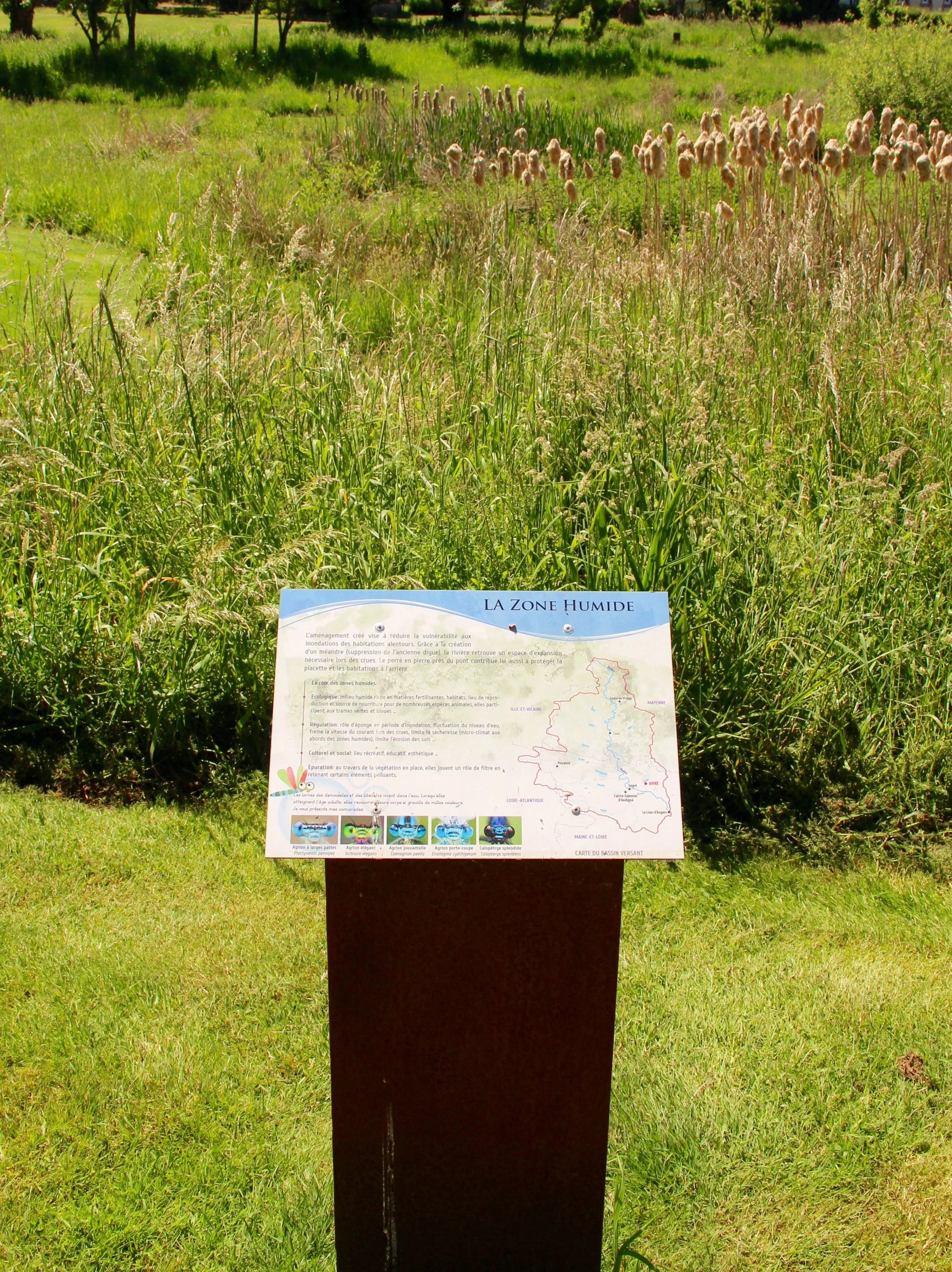 Un panneau d'explication sur la zone humide, avec une description textuelle en français et une carte, placé dans un espace vert avec de l'herbe et des arbres en arrière-plan.