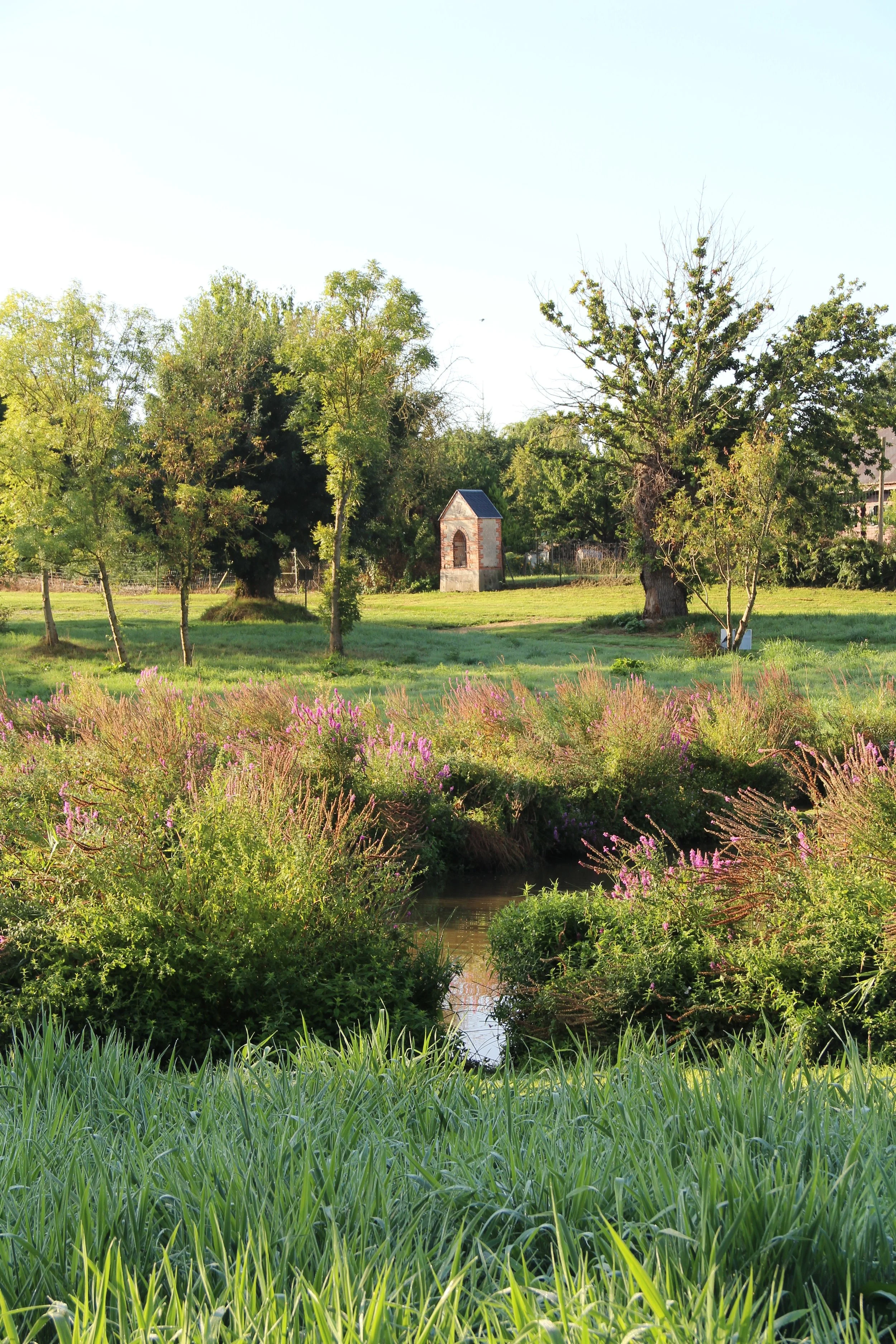 Paysage rural avec des arbres, une rivière et un petit bâtiment en pierre, au bord d'un champ verdoyant avec des fleurs violettes.