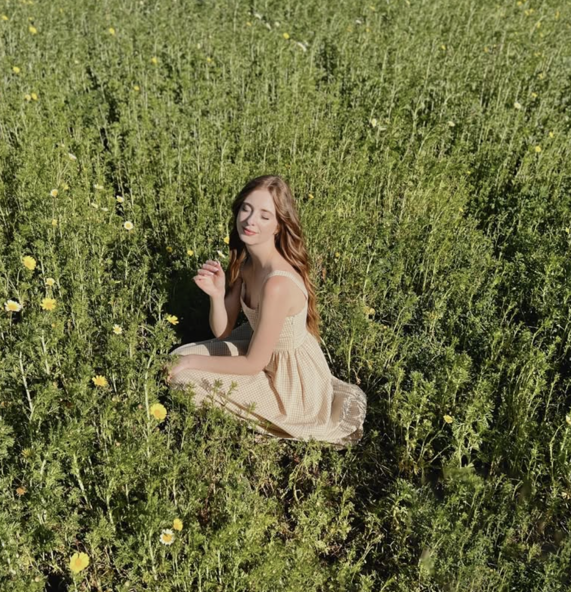 Morning Lavender | Project Management & Creative Marketing Operations