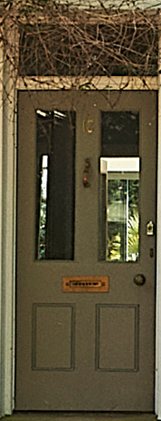 A front door with a window and a mail slot, surrounded by vines or tangled branches above.