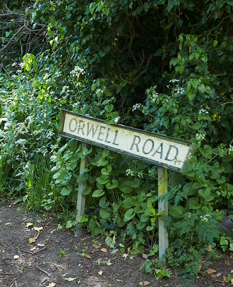 Old street sign for Orwell Road leaning against lush green bushes and trees.