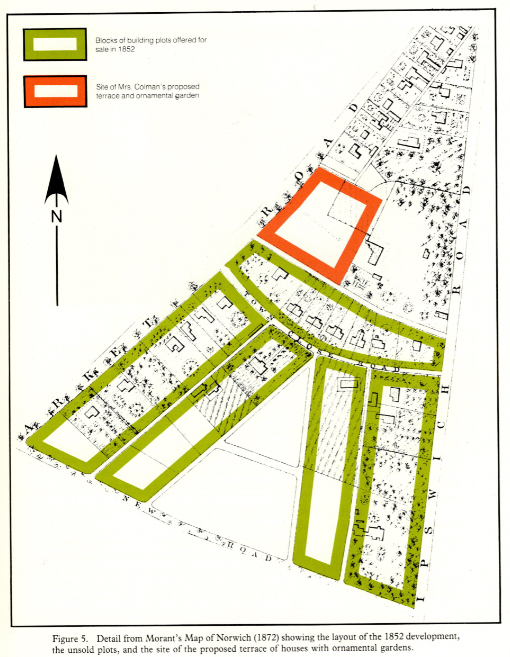 From Morant’s Map of Norwich 1872.  The green blocks had been offered for sale in 1852.  New Road (at the bottom of this map) is now named Lime Tree Road.