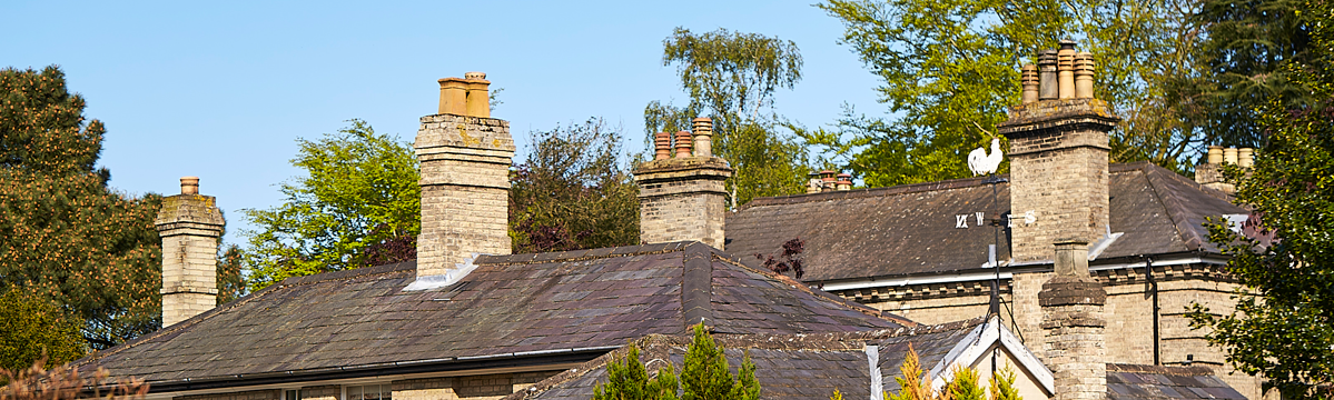 Multiple brick chimneys on rooftops of residential houses surrounded by trees under a clear blue sky.