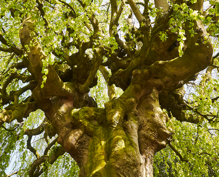 image014.png