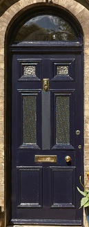 Dark blue front door with a semi-circular window at the top and a mail slot below, surrounded by greenery.