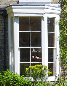 Bay window with white framing and a small garden with green bushes outside.