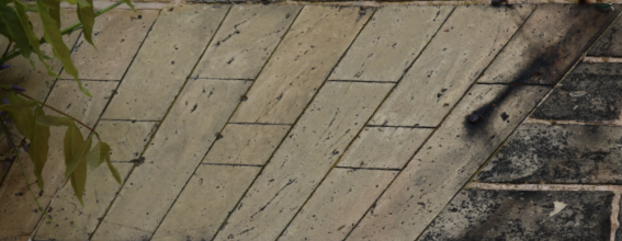 Close-up of a stone or concrete sidewalk with rectangular tiles, some darkened or stained, with green leaves hanging in the corner.
