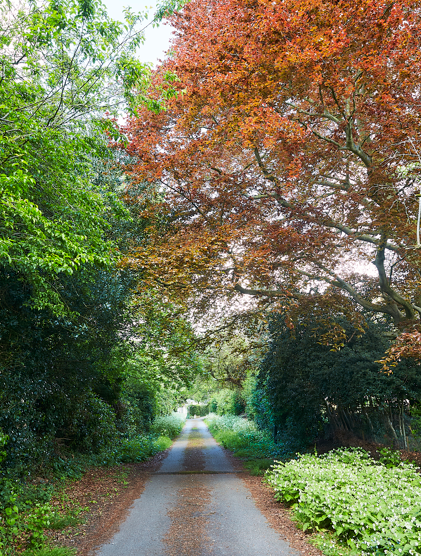 image009.png