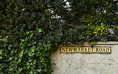 A street sign that reads 'Newmarket Road' mounted on a concrete wall, with green leafy foliage partially covering it.