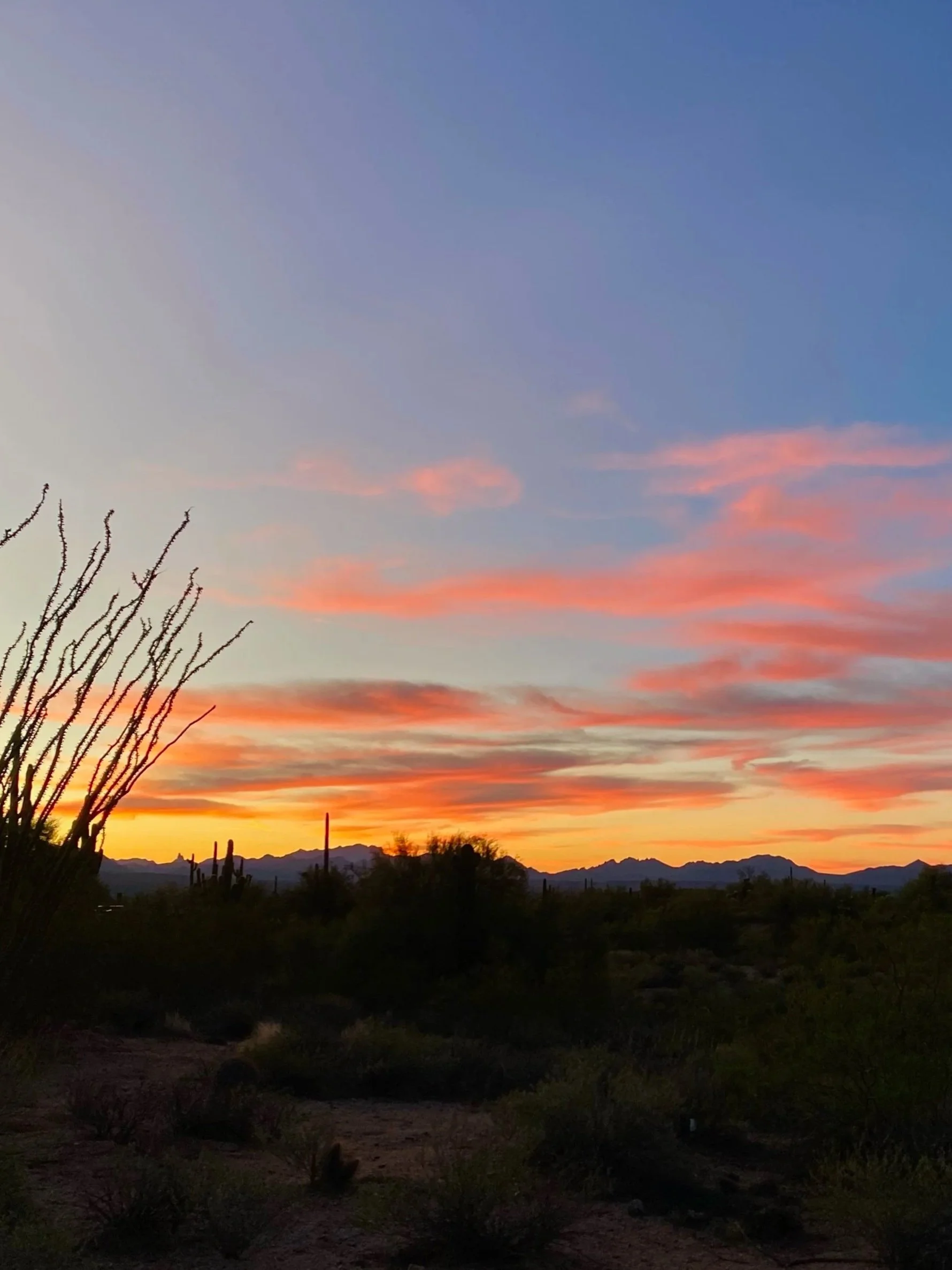 Phoenix Market Update: What Buyers and Sellers Need to Know Right Now