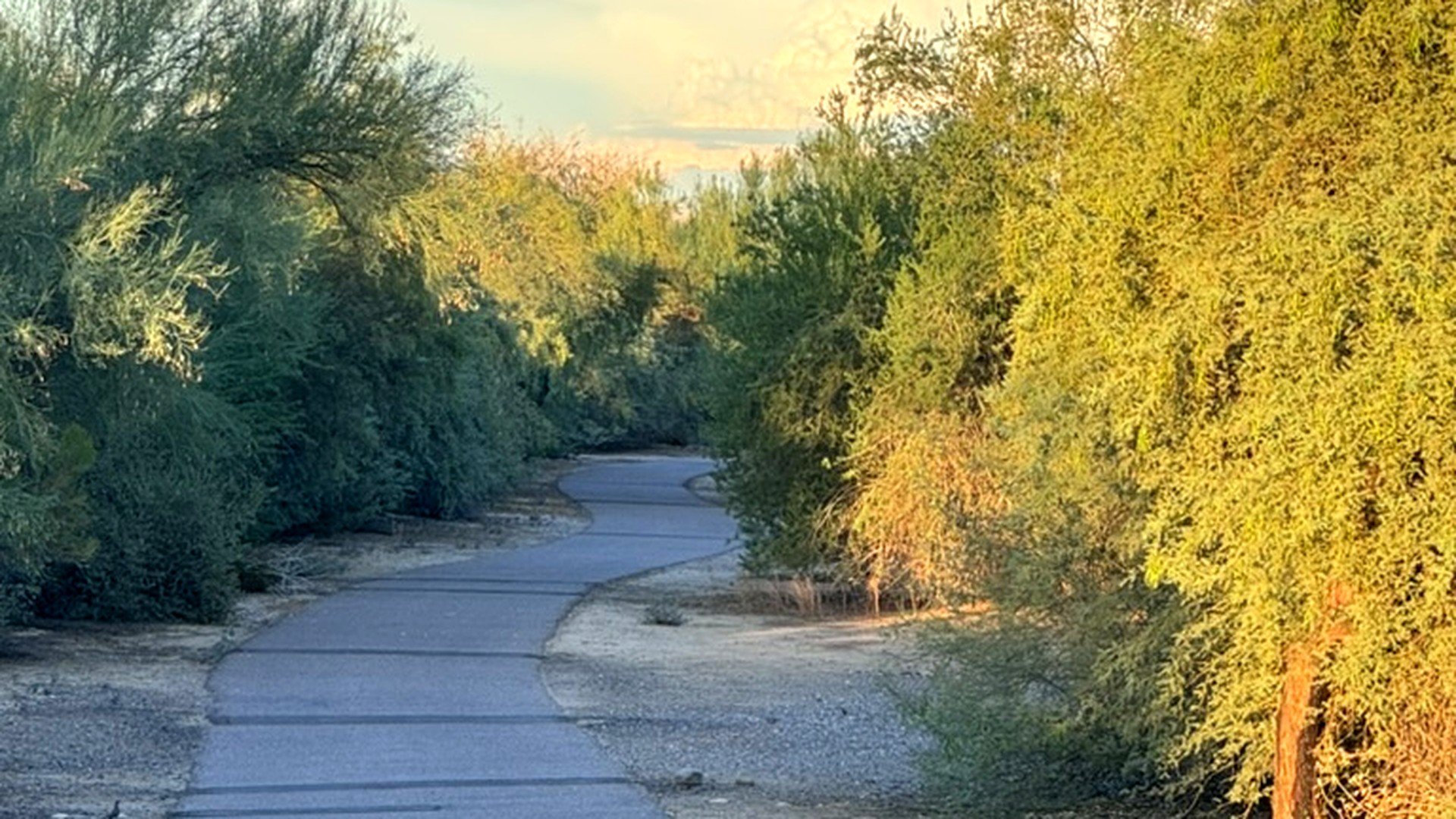 October Is Here — and the Phoenix Market Has Something to Say