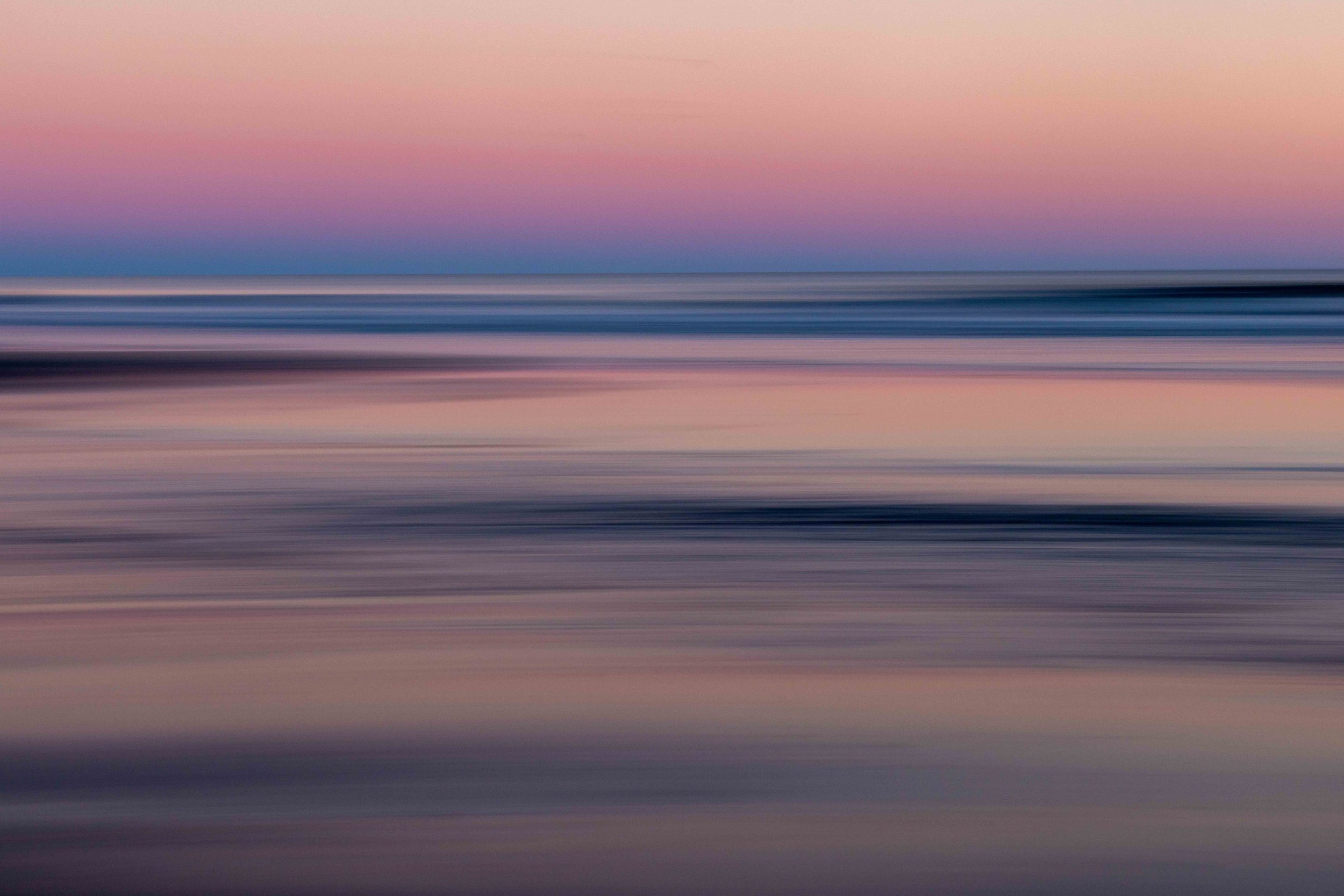PINK to be Named PF0N8A7414.jpg