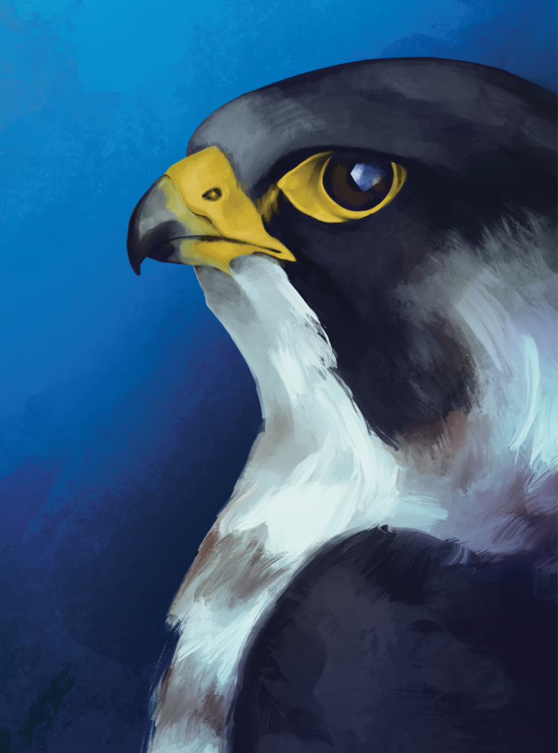 Sizeddown-cropped.png