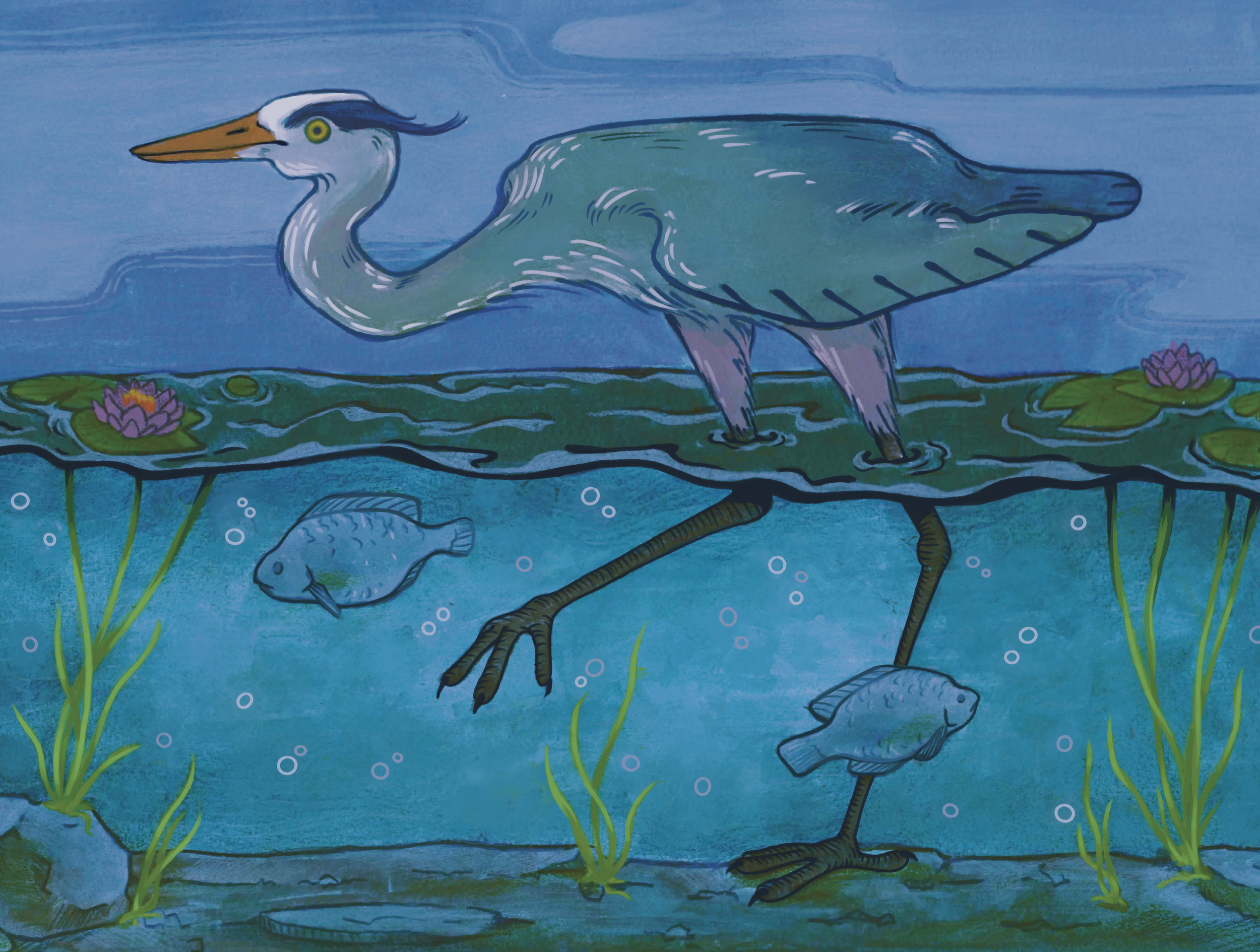 MonicaContent_Heron.png