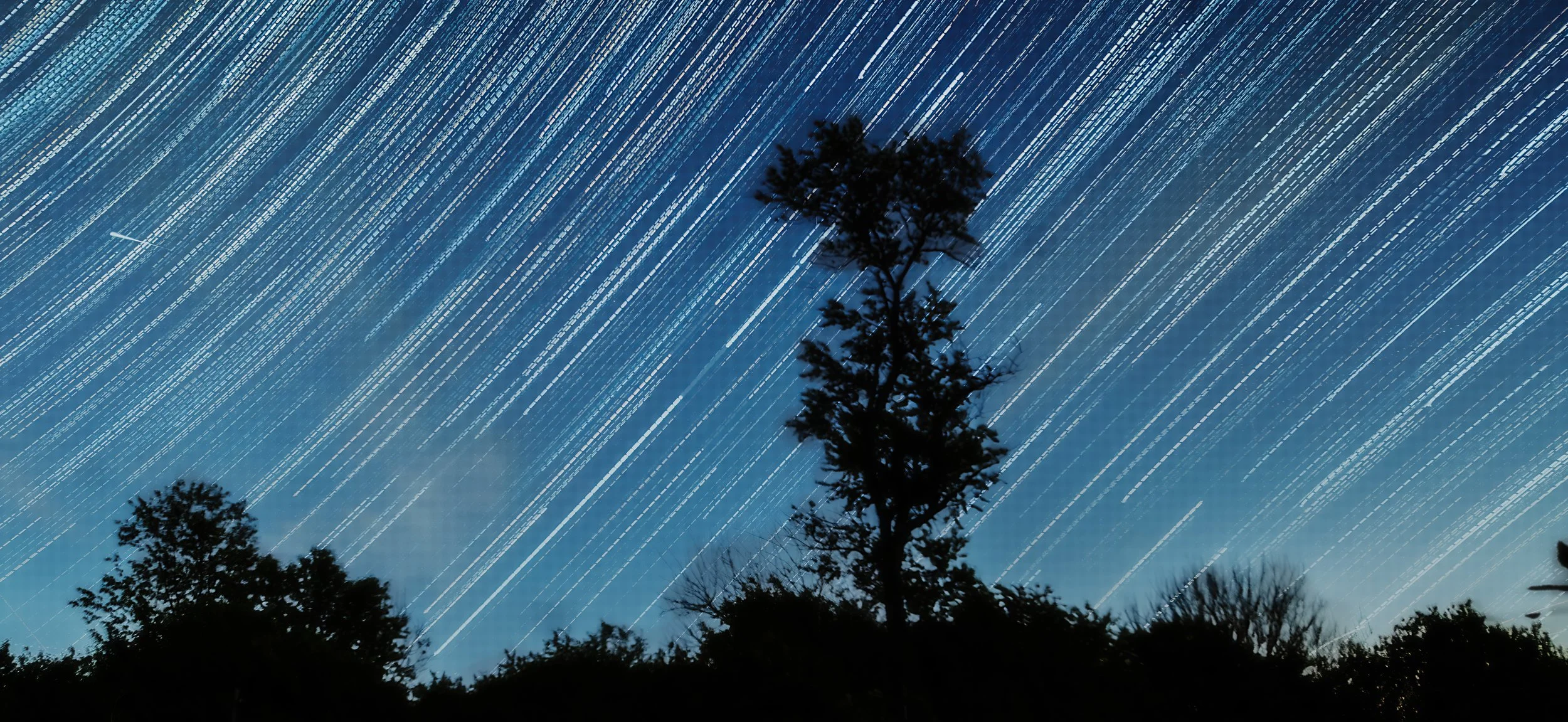 _DSC4683-.jpg