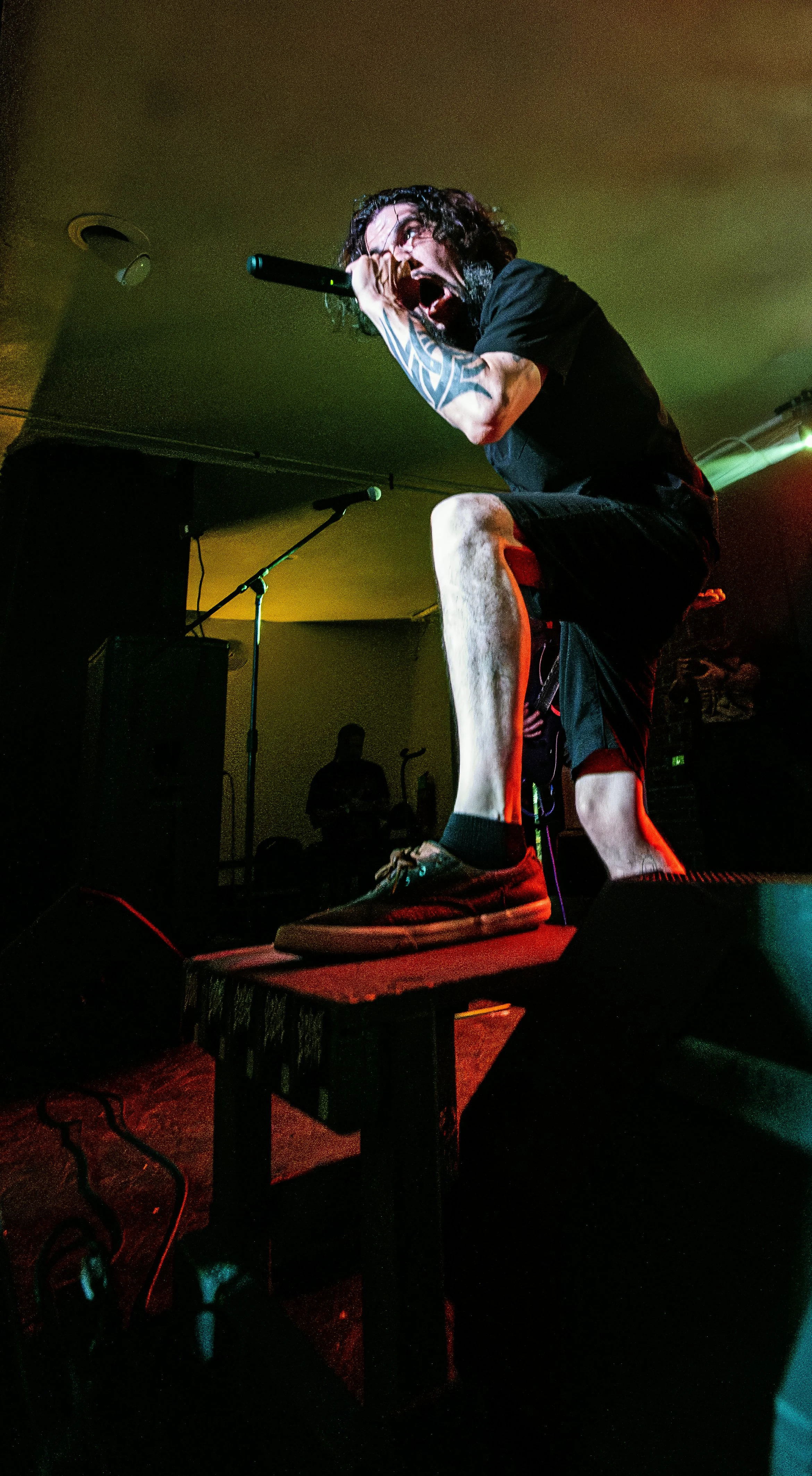 A male vocalist performs energetically on stage, holding a microphone close to his mouth, with one foot on a platform. He has long curly hair, a tattooed arm, and is wearing a black t-shirt, shorts, and sneakers. Stage lighting casts colorful illumin