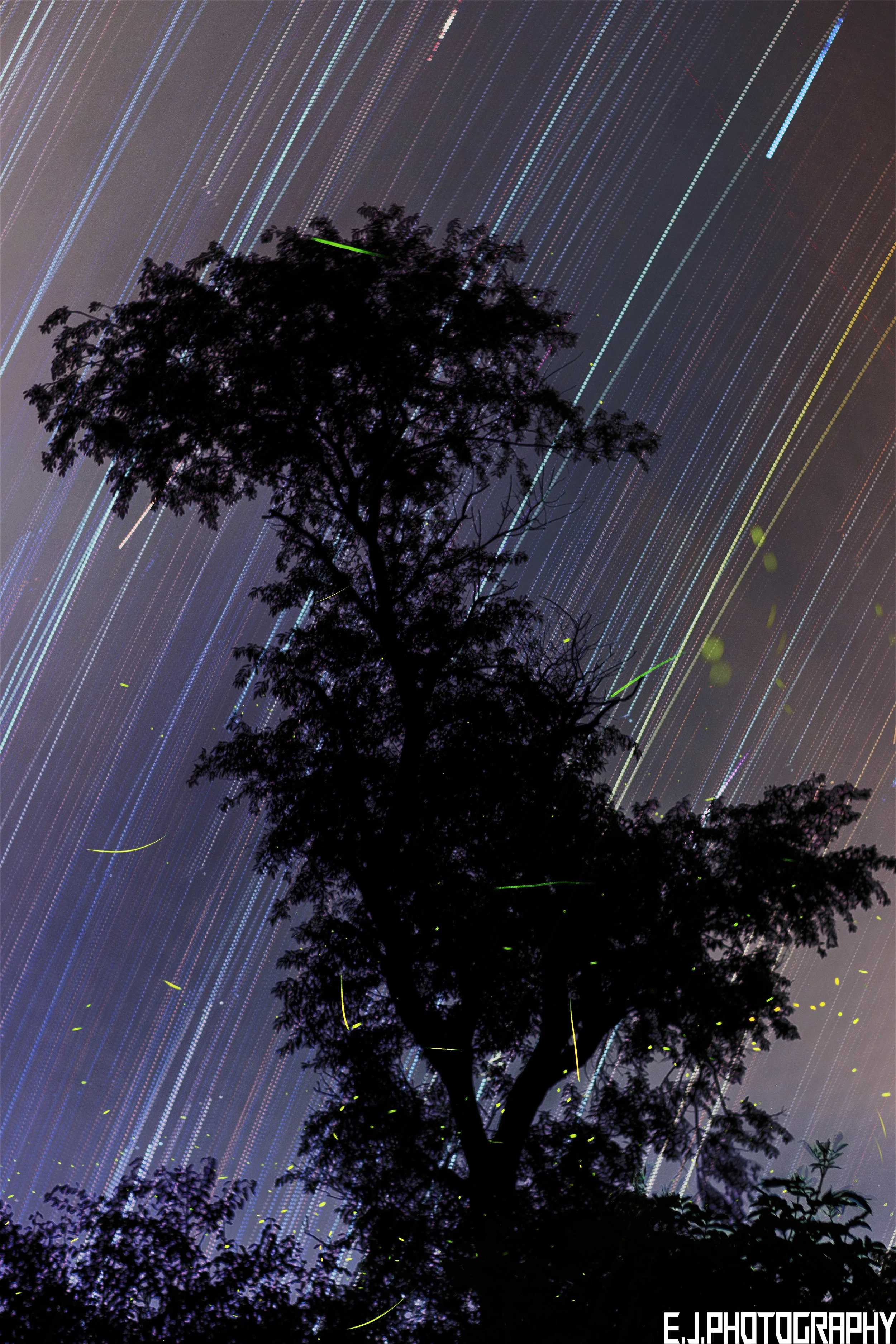 stoicnight.jpg