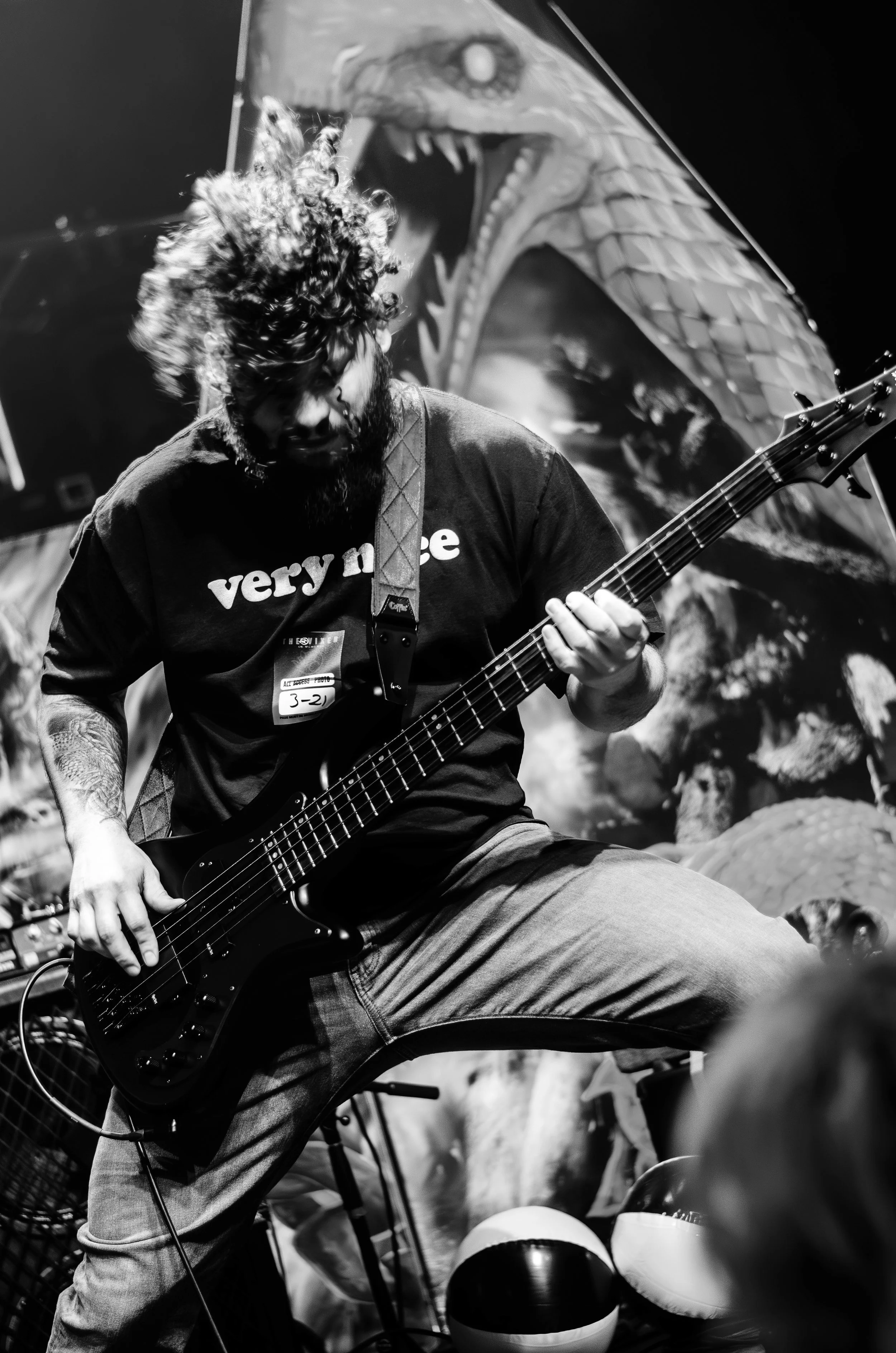 A man with curly hair and a beard playing an electric guitar, wearing a T-shirt that says 'very nice,' in front of a large dinosaur illustration in black and white.