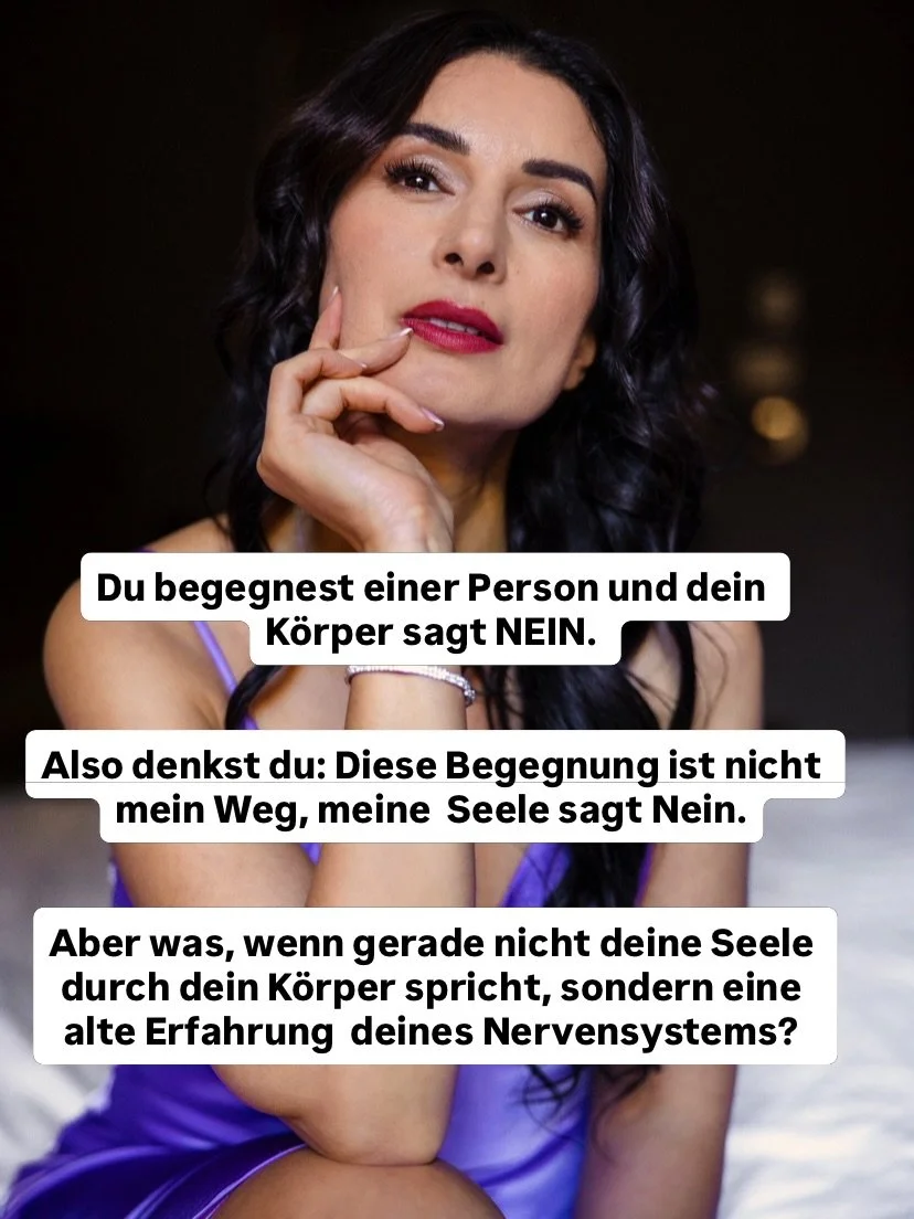 #nervensystem
#nervensystemregulation 
#mindset 
#trauma 
#Seele