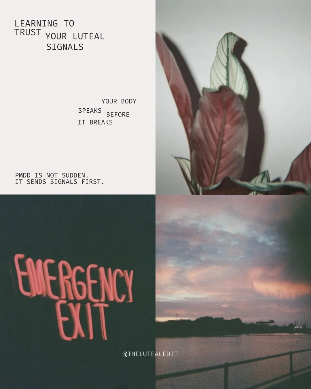Your luteal phase is not sabotaging you. 
It&rsquo;s trying to keep you alive in a body that&rsquo;s feeling everything louder. 

PMDD does not show up out of nowhere, it whispers first. 
The heaviness. The irritation. The urge to disappear. The &ldq