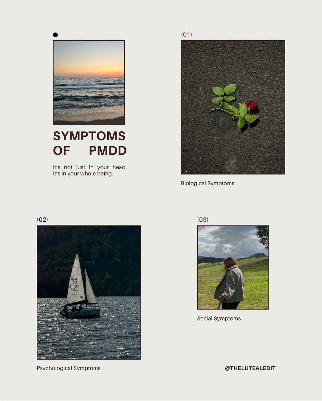 PMDD (Premenstrual Dysphoric Disorder) isn&rsquo;t just in your head. It&rsquo;s in your whole being.

It affects the body (fatigue, cramps, appetite shifts), the mind (anxiety, hopelessness, rage, brain fog), and the social self (conflict, withdrawa