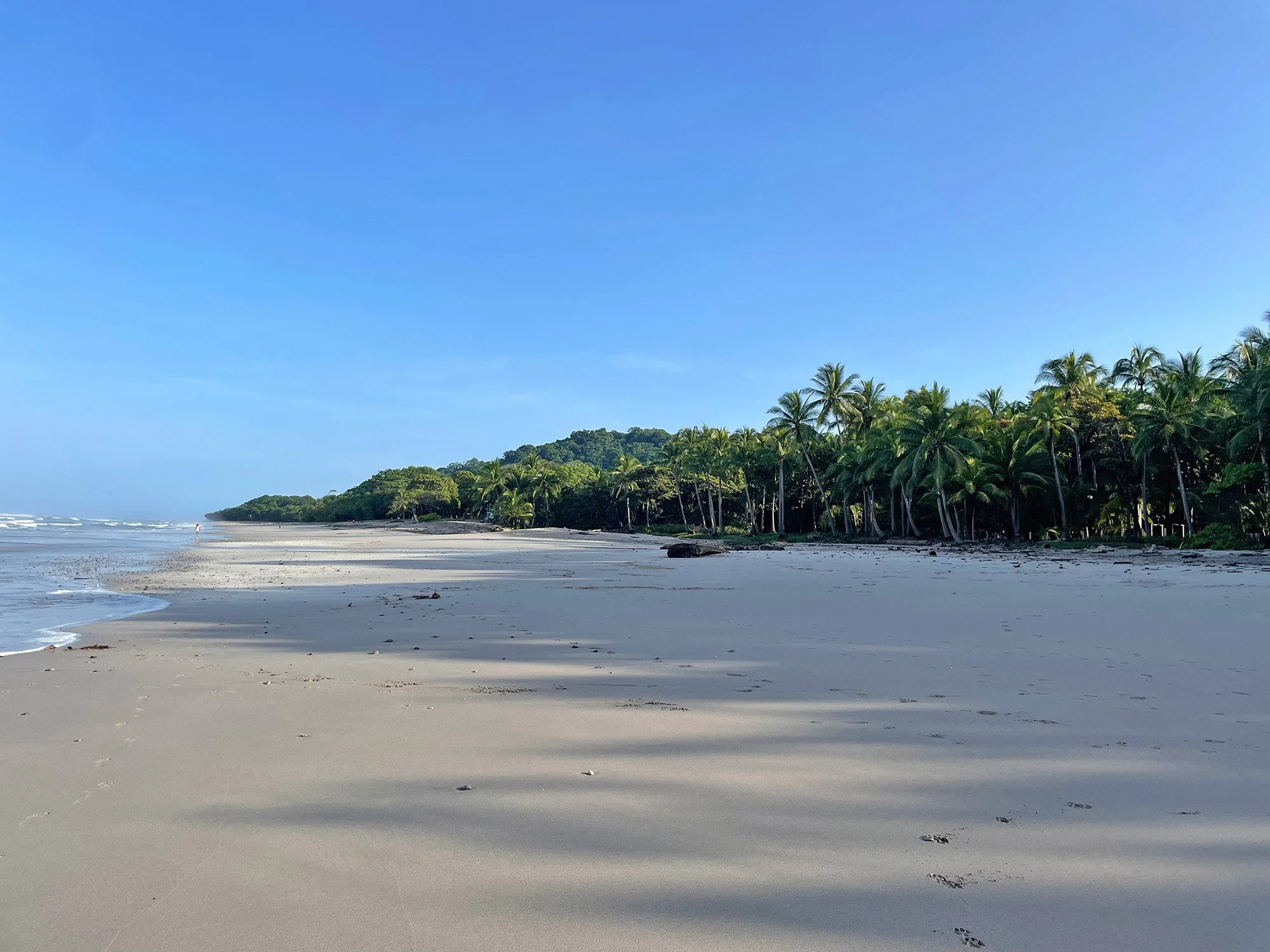 The white sand beaches of Playa Carmen and Santa Teresa lined with palm trees