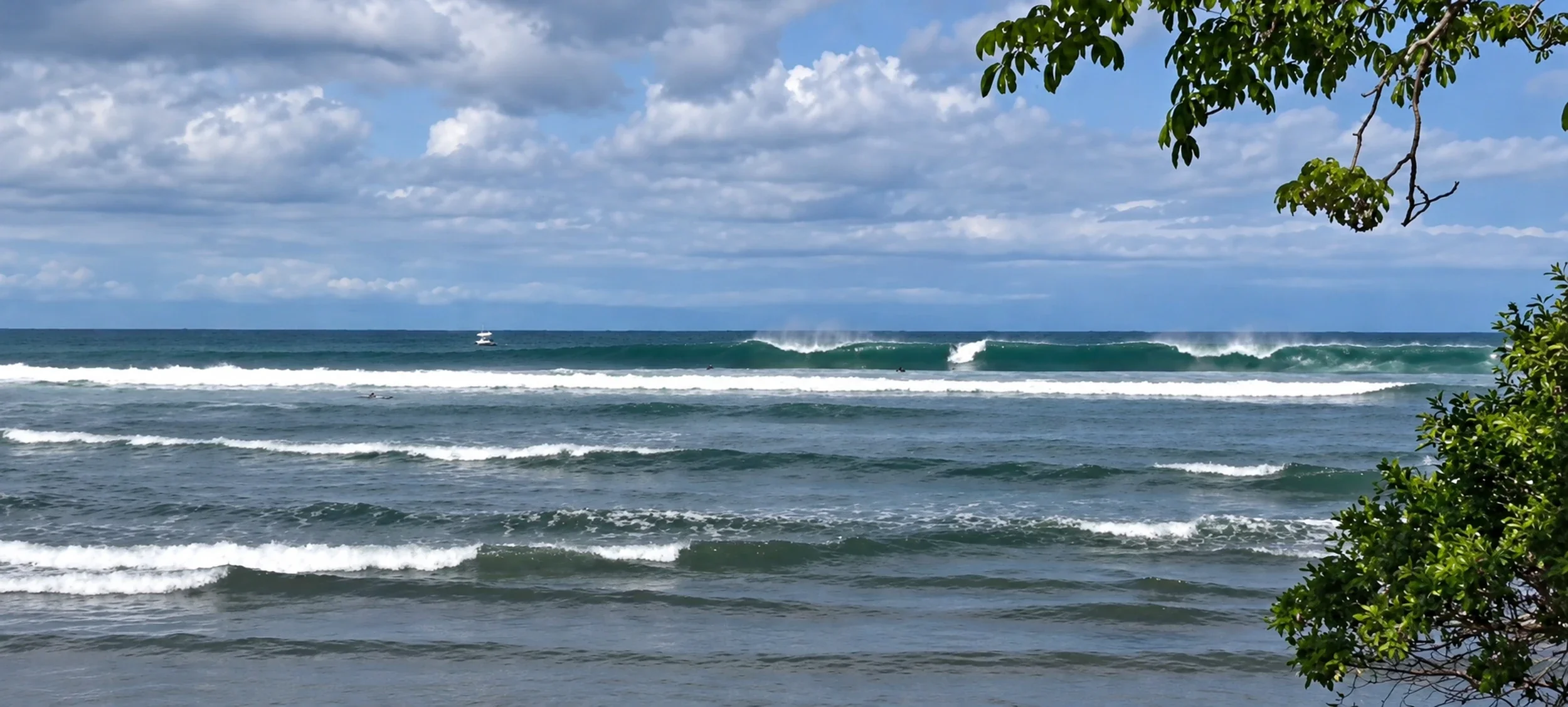 Waves breaking at Río Lajas in Cabuya, Costa Rica, with surfers in the lineup and leafy branches framing the ocean.