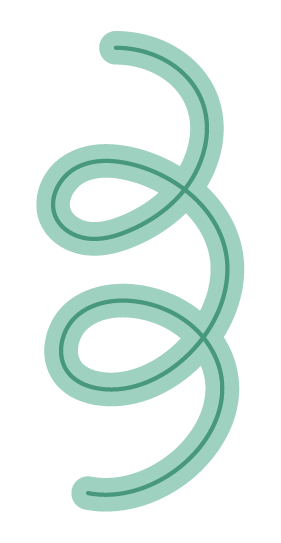 A light green, coiled garden hose.