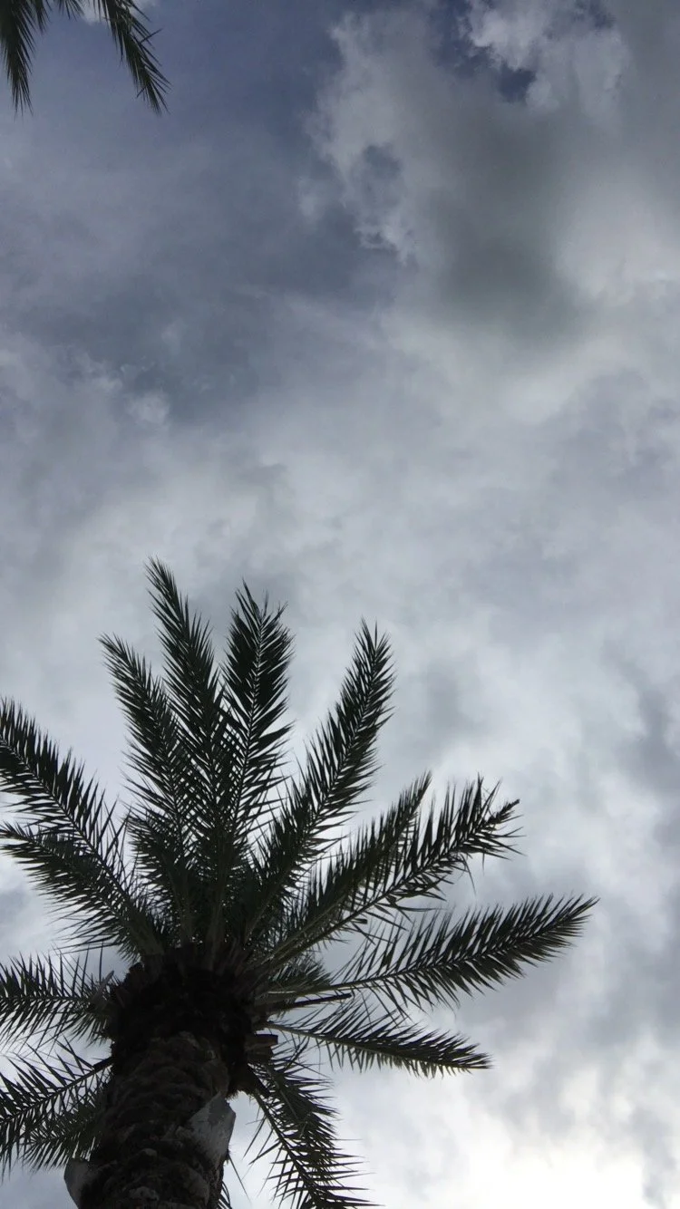 IMG_9993.JPG