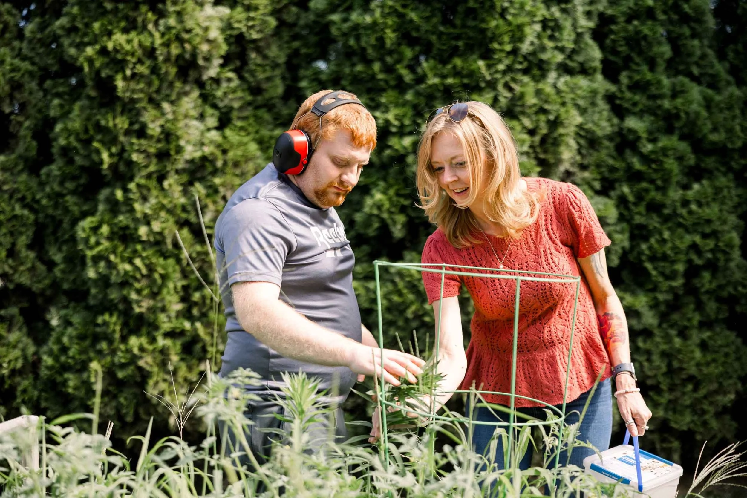 A man and a woman stand in a garden, examining plants with a wire cage and a box of gardening supplies, surrounded by greenery.