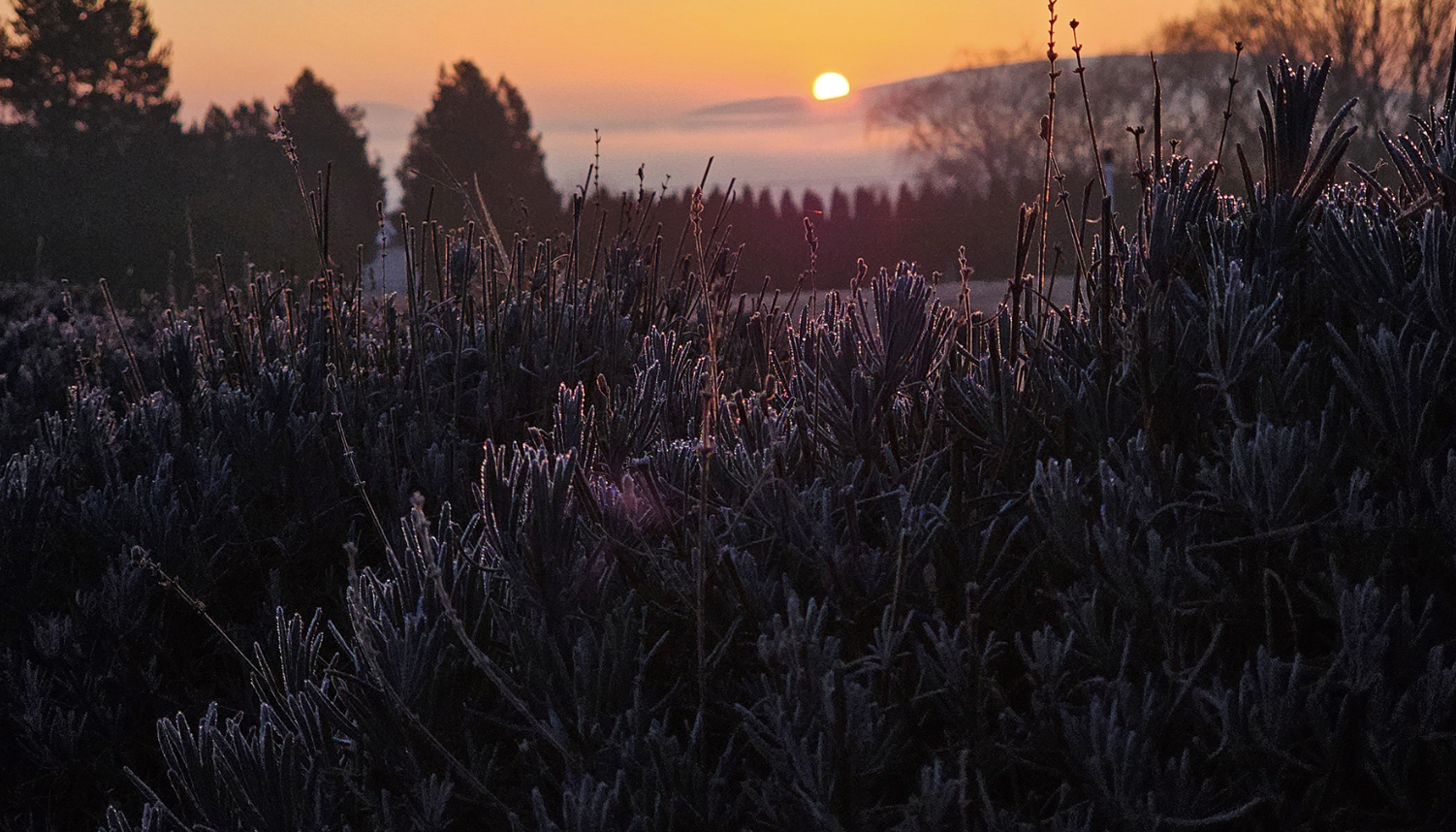 Winter Skin Care Rituals for Dry, Stressed Skin