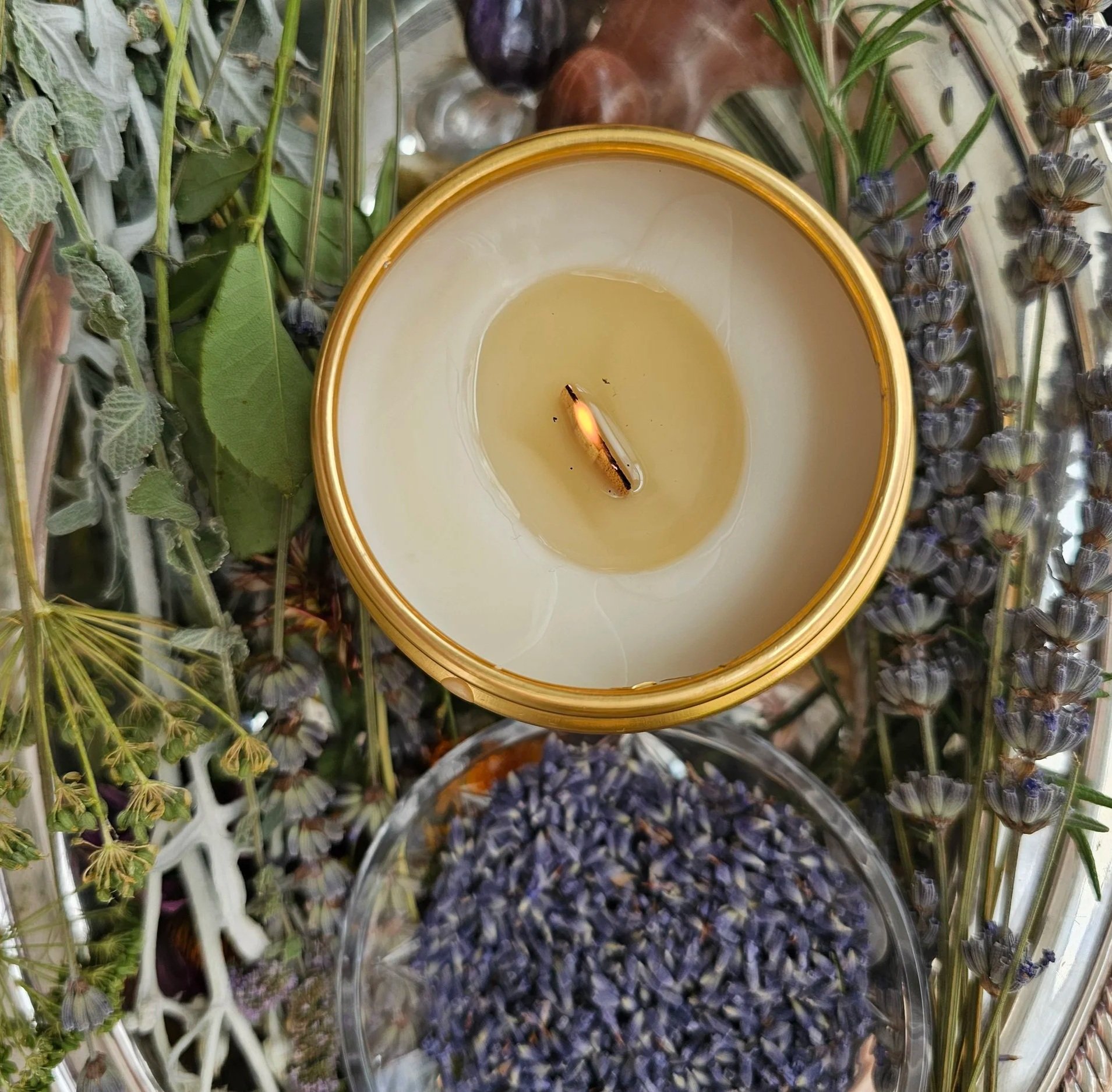 Belle Terre Lavender beeswax candle with dried lavender and herbs