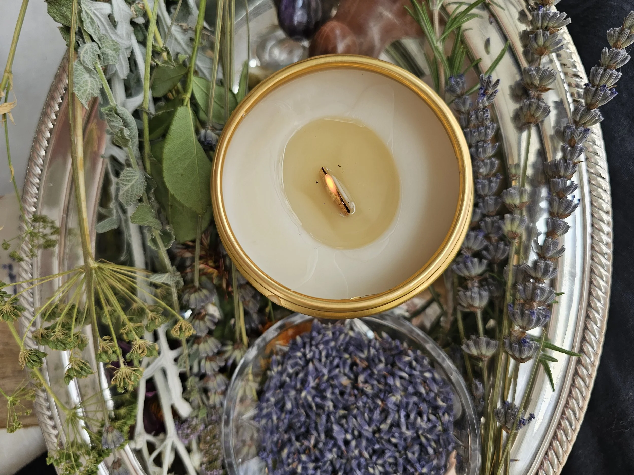Belle Terre Lavender beeswax lit candle with dried lavender and herbs