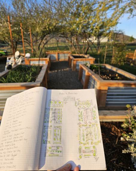 Blueprint plans for soil beds and growing plans in soil beds at Belle Terre Lavender