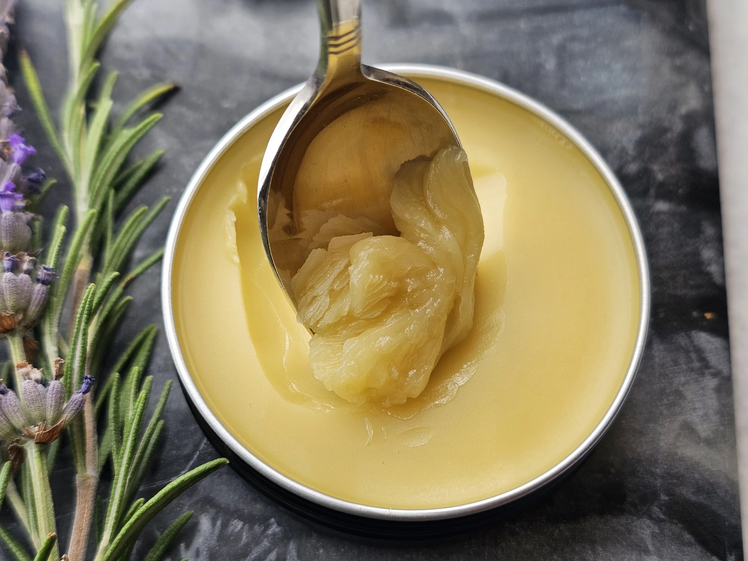 Belle Terre Lavender CBD Body Balm scooped from tin with rosemary