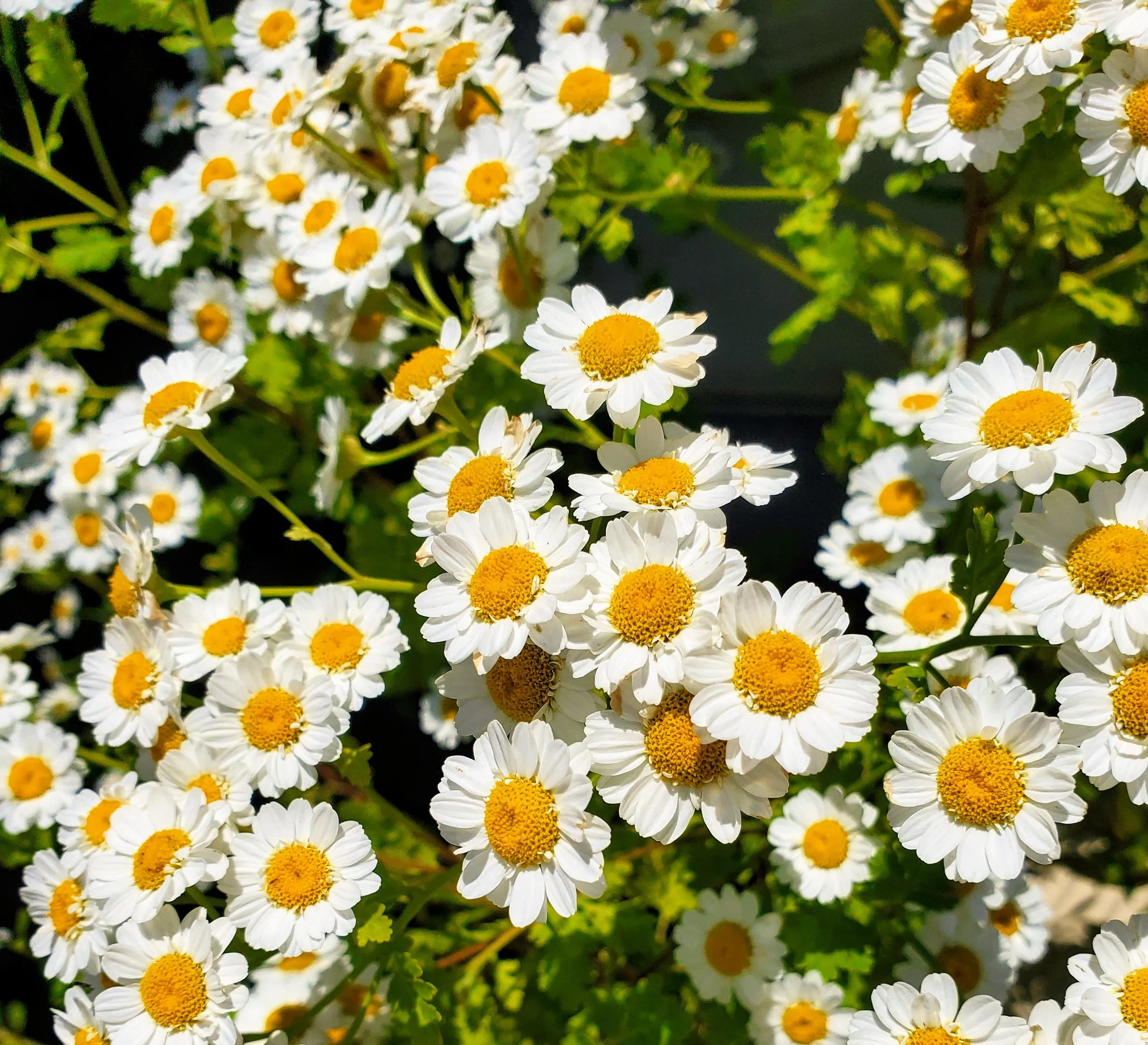 Reclaiming Your Time And Your Energy: A gift to yourself and your patients!