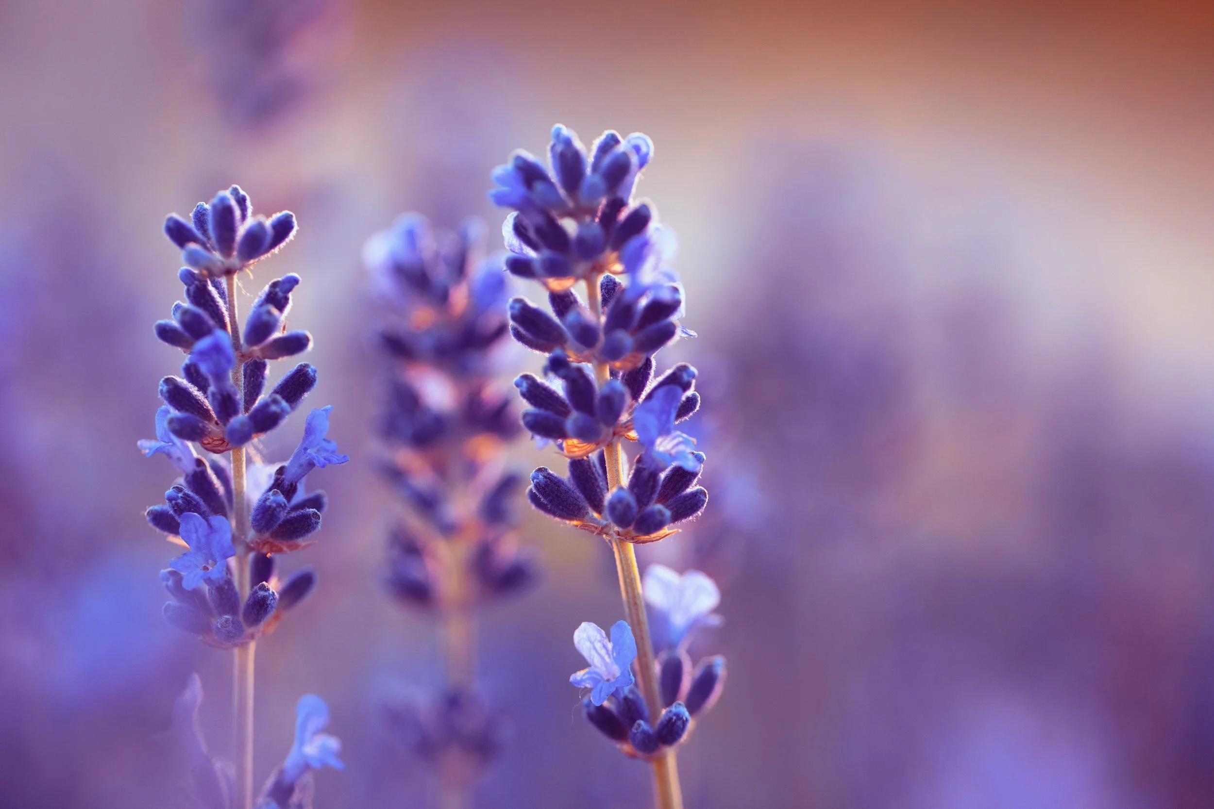 Finding Your Flow: Balancing Life And Business