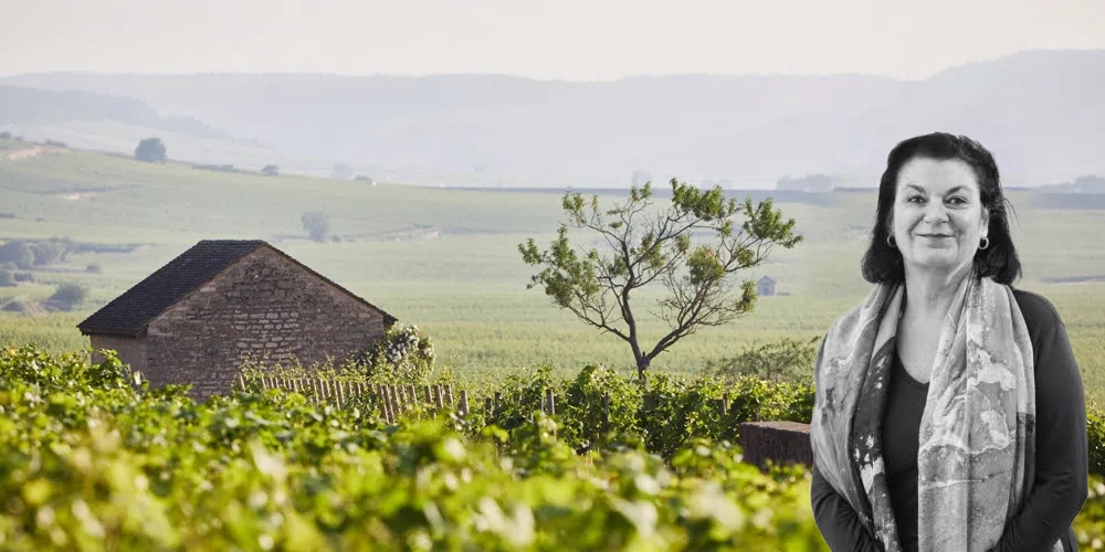 Lær og forstå mystikken bak Bourgogne