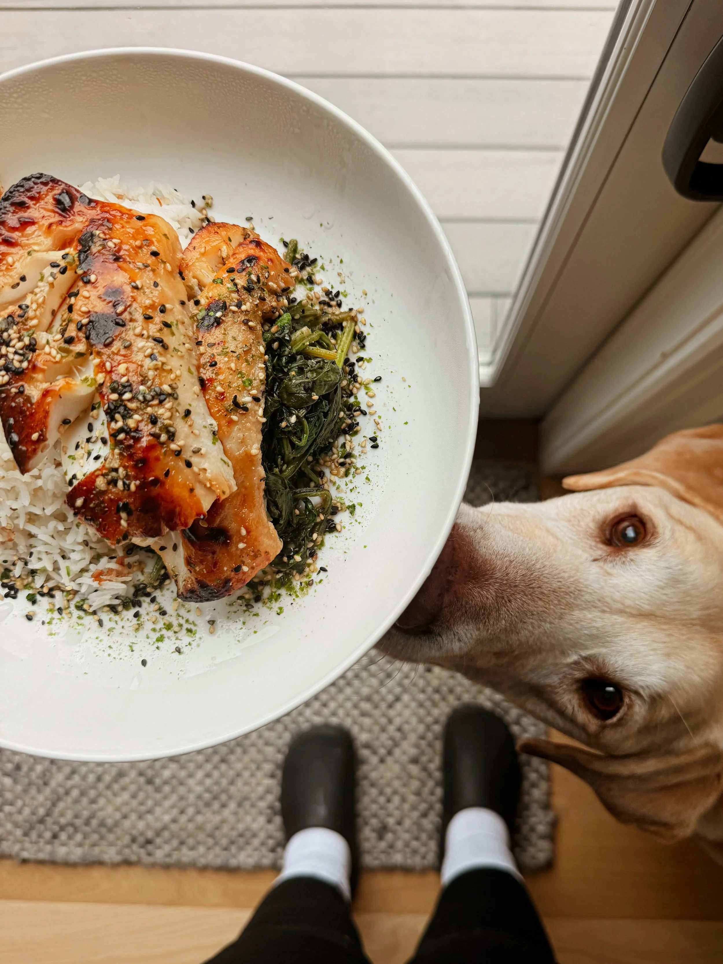 Some of our favorite clients for our in home meal prep services have 4 legs 🐕 🐾 

Miso Glazed Sea Bass, Coconut Rice, Garlic Spinach
