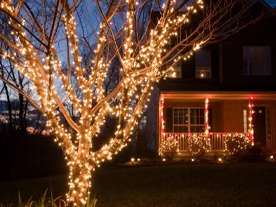 tree branch wrap and porch lighting