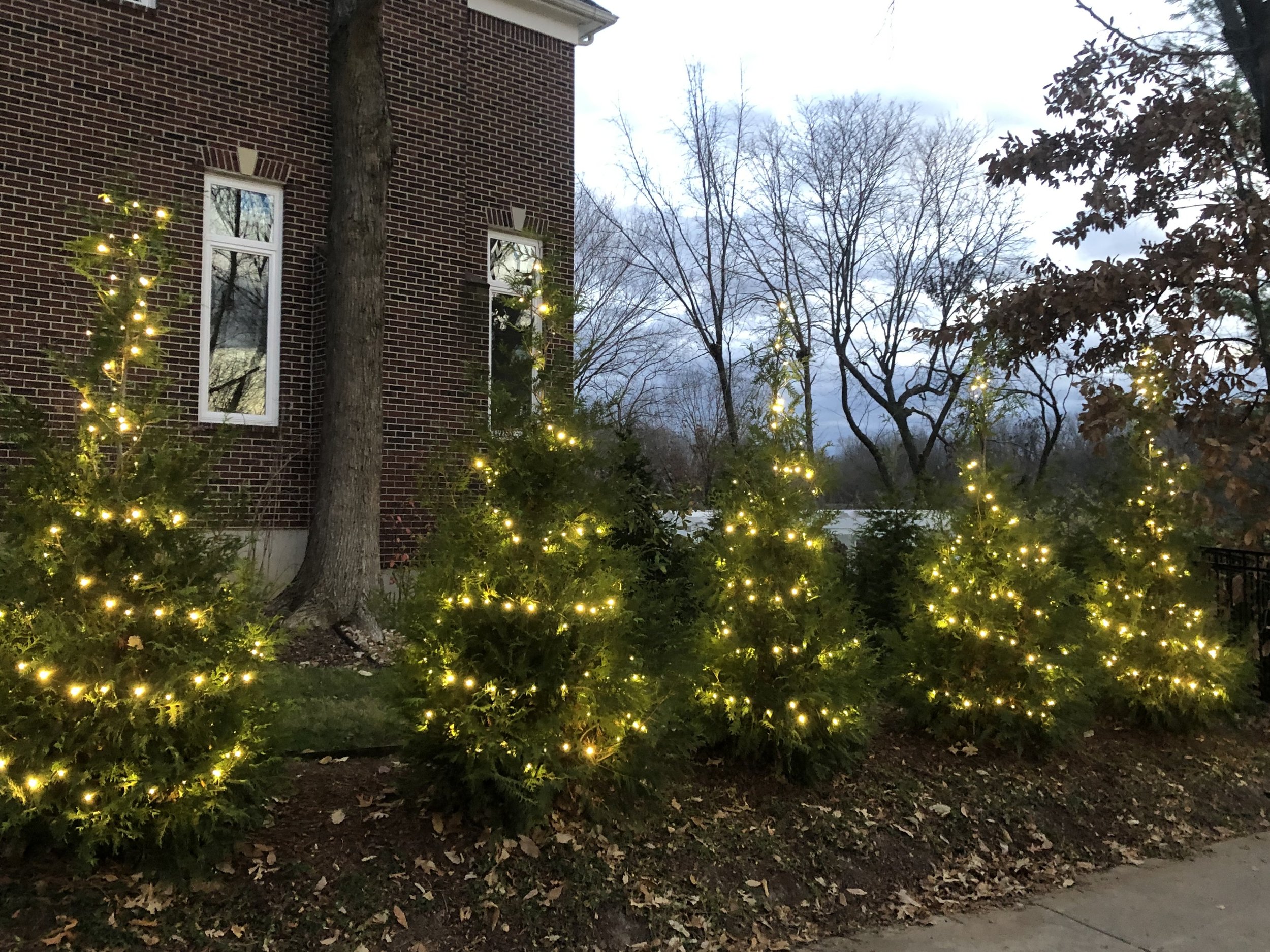 Outdoor scene featuring a house with brick exterior, two windows, and string lights on the bushes and trees, with bare trees and an overcast sky in the background.