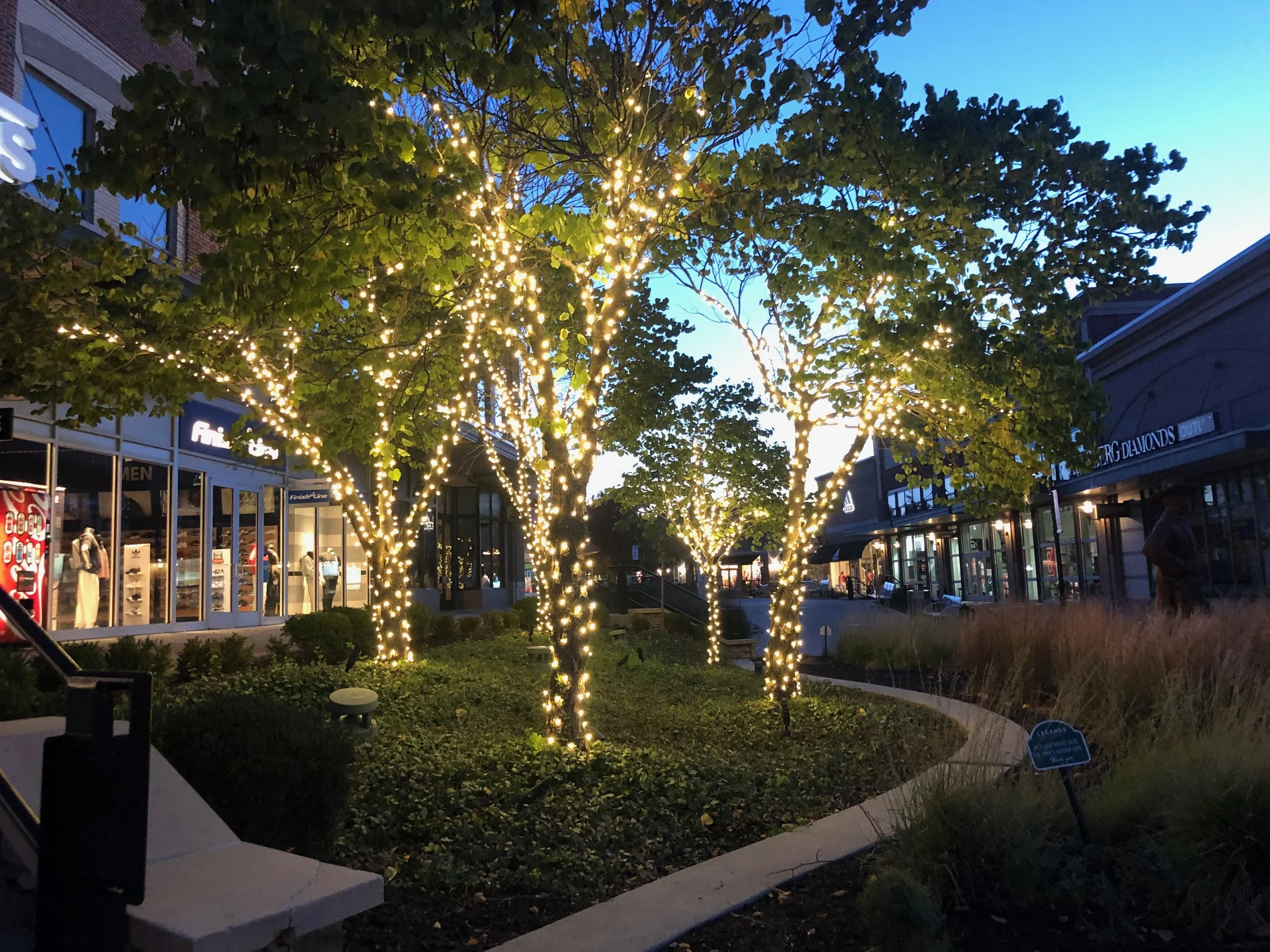 Trees decorated with white string lights in an outdoor shopping area at dusk, with stores and storefronts visible in the background.