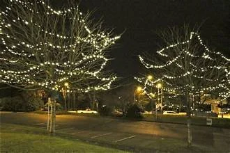 Outdoor tree wrap