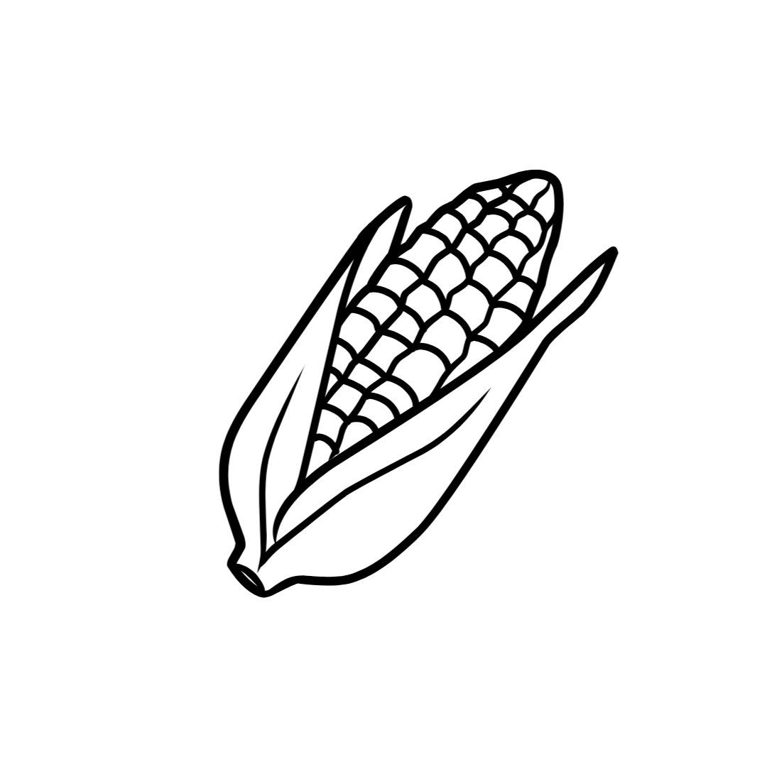 Line drawing of an ear of corn with husk partially peeled back.