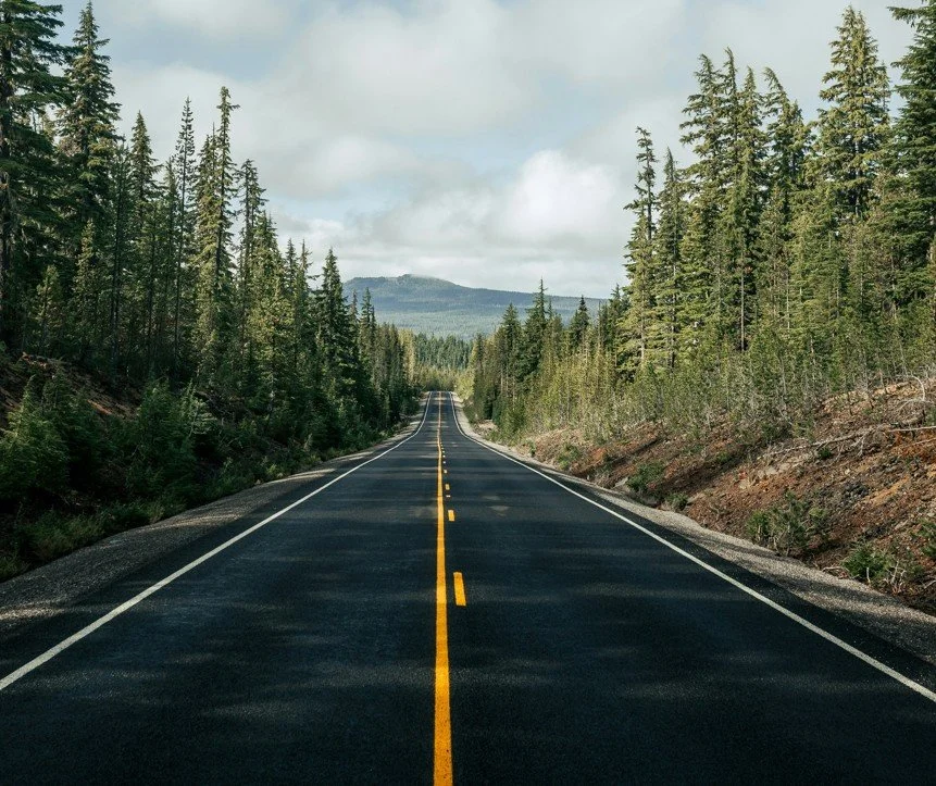 Road in the forest towards mountain