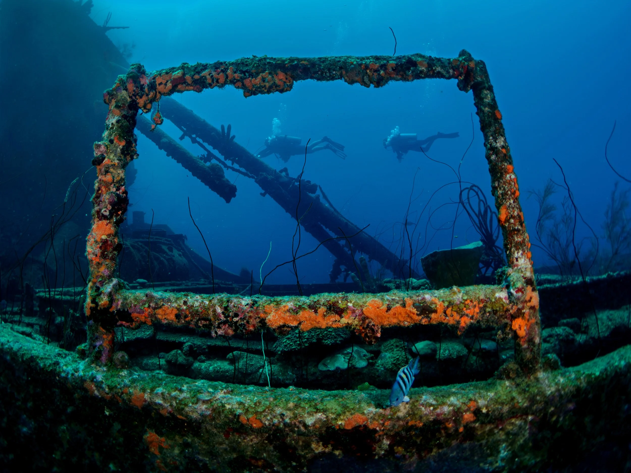 Underwater scene showing a partially submerged, corroded metal structure covered with marine growth, with divers exploring in the background.