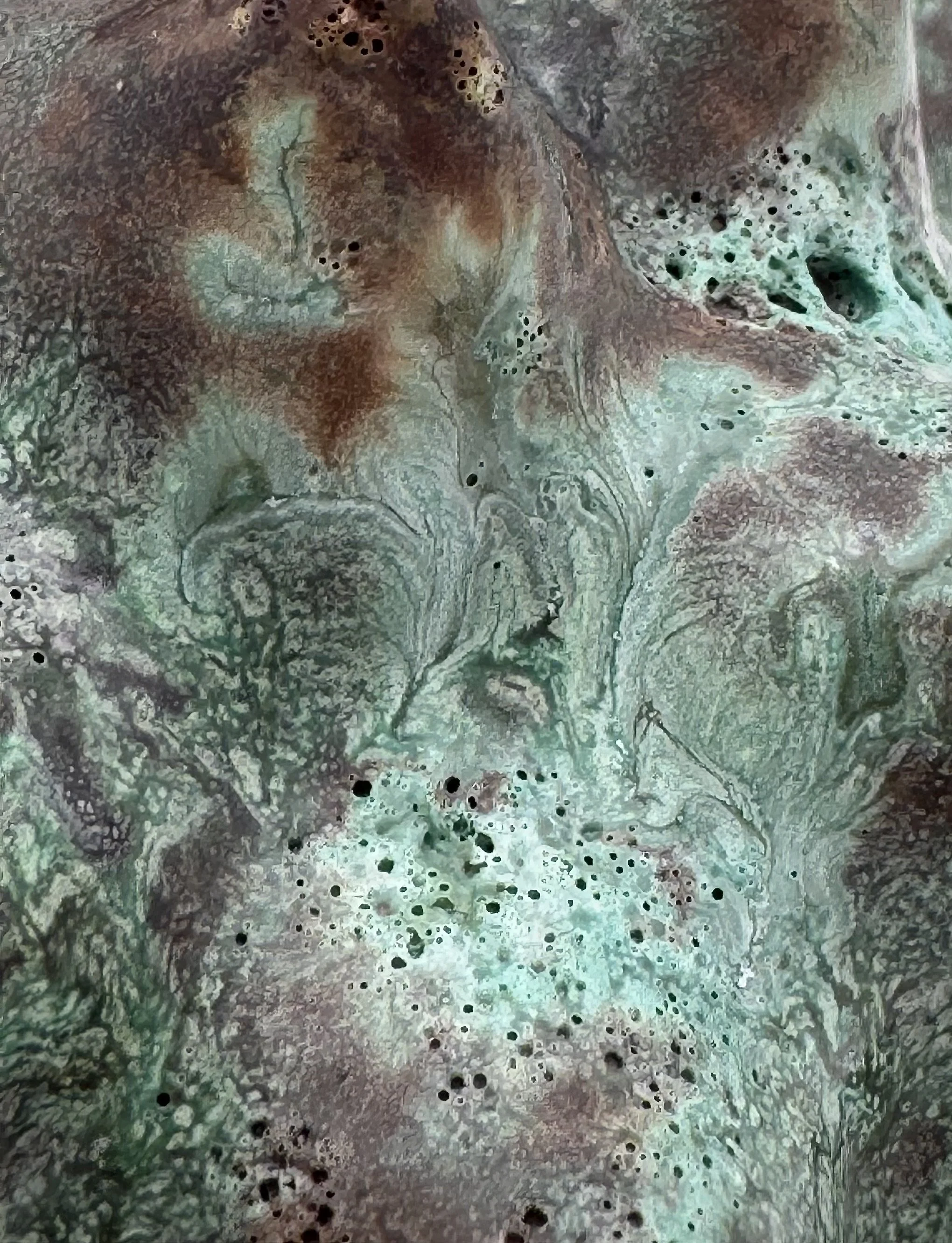 Close-up of a textured, abstract surface with various shades of green, brown, and white, featuring small holes and cracks.