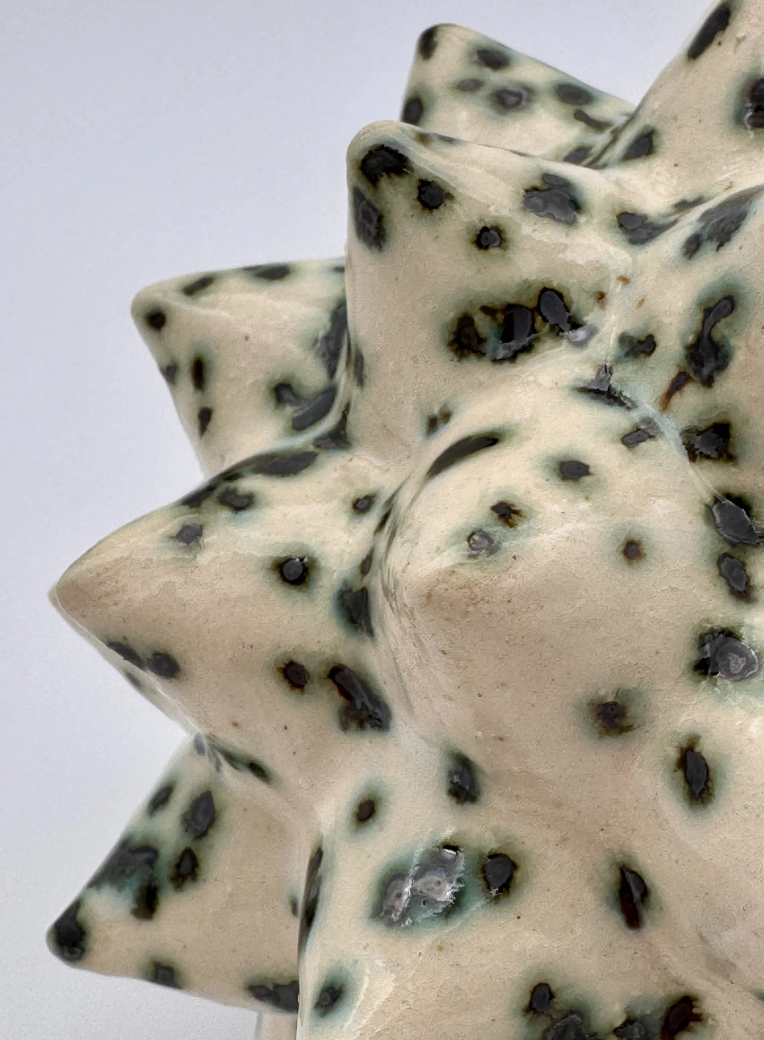 Close-up of star-shaped blue cheese with visible blue mold veins.