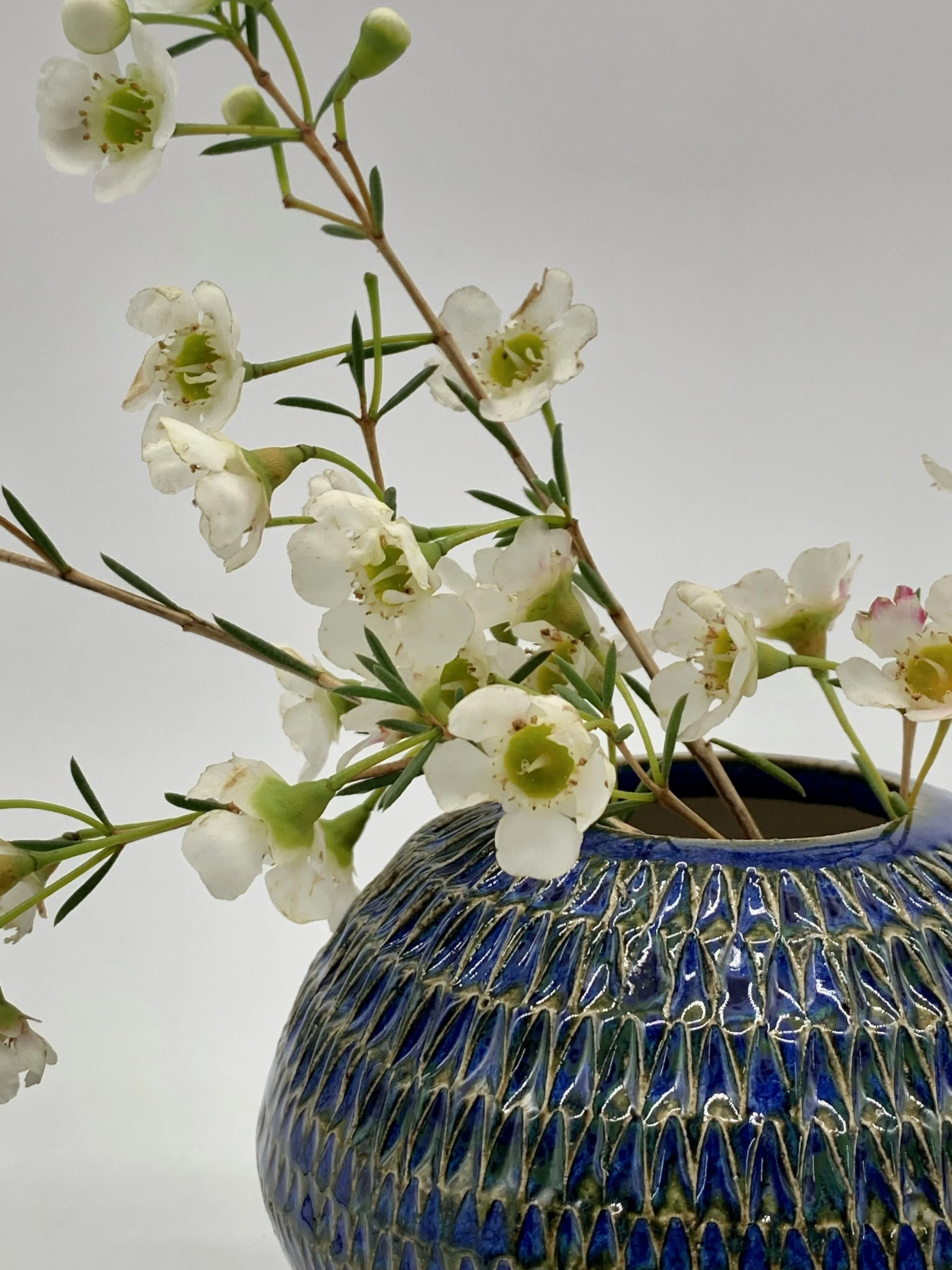 White flowering plant in a blue ceramic vase against a plain white background.
