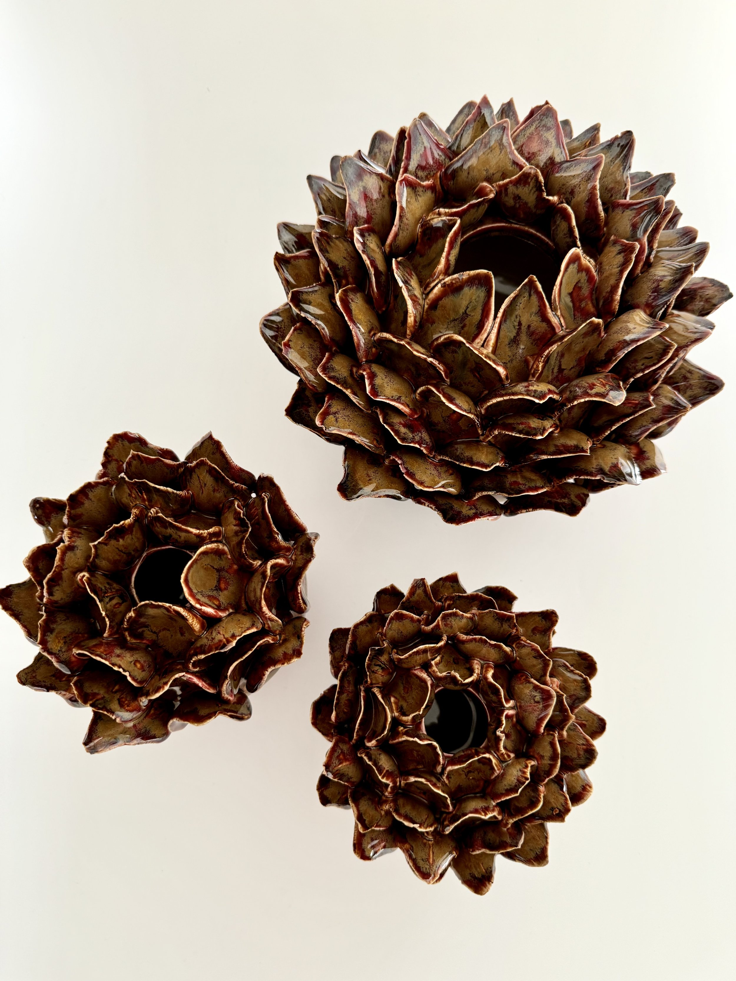 Four pine cones on a reflective white surface with a plain white background.